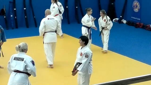 Айкитэдо - уходы от удара рукой сверху смотреть онлайн