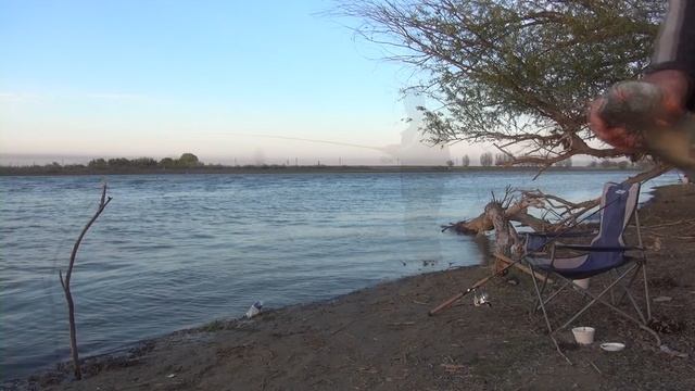 вобла вторая