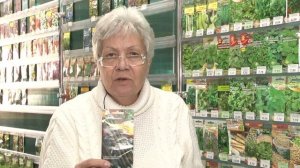 Голова садовая - Всё о Скорцонере лечебной