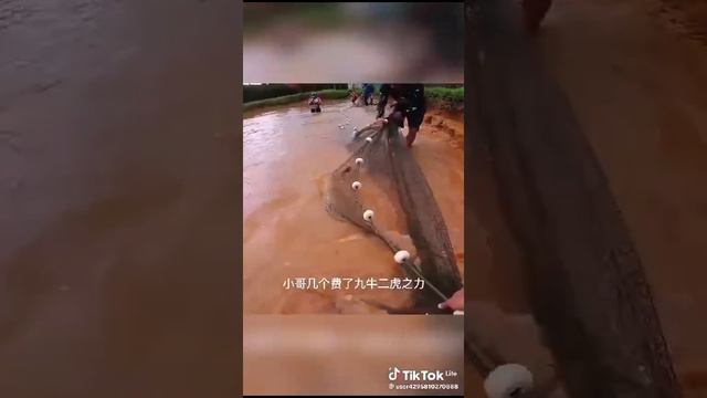 VID-20231204-WA0005.mp4