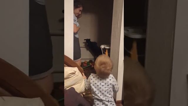 Годовалый ребенок избивает мать смотреть онлайн