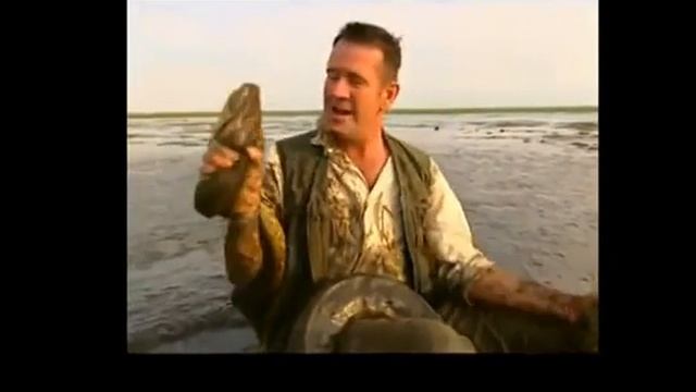 Анаконда против _ профессионального ловца смотреть онлайн