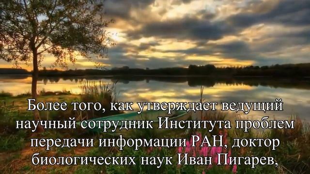 Как стать долгожителем — Статья смотреть онлайн