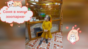 Идем в маленький зоопарк и кормим разных животных