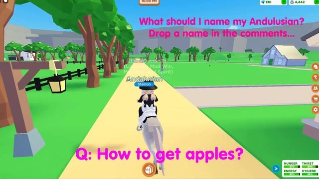 HORSE VALLEY *NEW ANDALUSIAN HORSE* & QUESTIONS & ANSWERS | ROBLOX смотреть онлайн