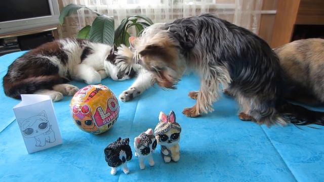 LOL SURPRISE КОШЕЧКА МУРКА! #КУКЛЫ ЛОЛ 3Д РУЧКОЙ! наши LOL PETS БАФФИ и МАЛЫШ! ПИТОМЦЫ как ИГРУШКИ