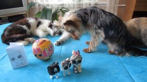 LOL SURPRISE КОШЕЧКА МУРКА! #КУКЛЫ ЛОЛ 3Д РУЧКОЙ! наши LOL PETS БАФФИ и МАЛЫШ! ПИТОМЦЫ как ИГРУШКИ