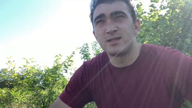 Руководство новичка и тренировки с нуля. С чего начать ? Что делать ? К кому обращаться ? смотреть онлайн