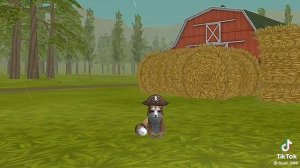 айбета 666 то миф появился 2020 году айбета 666 то чорний волк