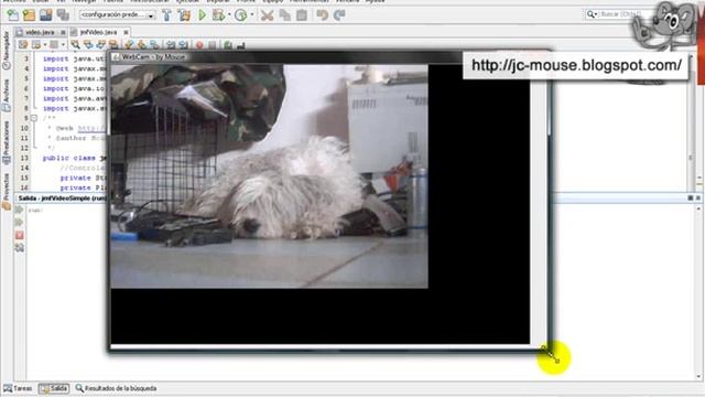 Captura de video con JMF смотреть онлайн