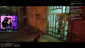 ИГРА ГОДА STRAY ➤ Полное Прохождение и Финал Игры про Котика от Айну