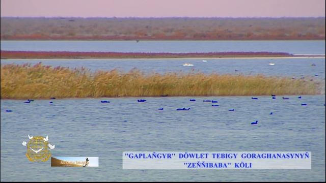 Озеро Зенги Баба Туркменистан смотреть онлайн