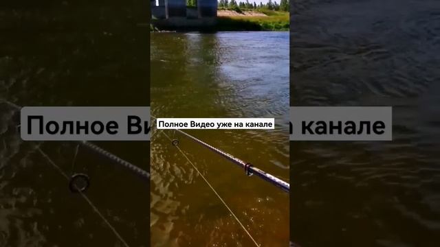 РЫБАЛКА НА ДНЕПРЕ "СИЛЬНЫЕ РЫБЫ ХОТЯТ ЖРАТЬ "ВЕТРЕНАЯ РЕКА РЫБАЛКА НА РЕКЕ MAJOR CRAFT SPEEDSTYLE смотреть онлайн