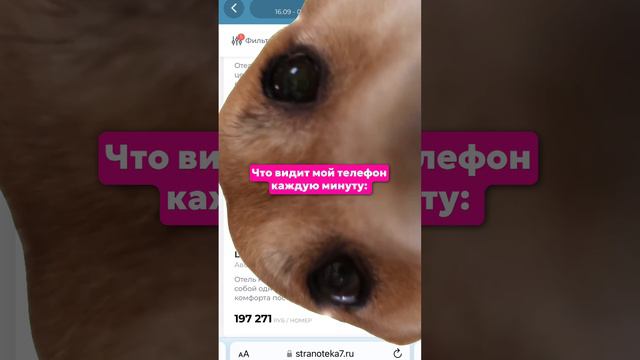 Ищете ГОРЯЩИЕ ТУРЫ? смотреть онлайн