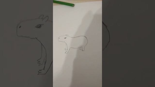 Как нарисовать капибару #capybara #capy смотреть онлайн