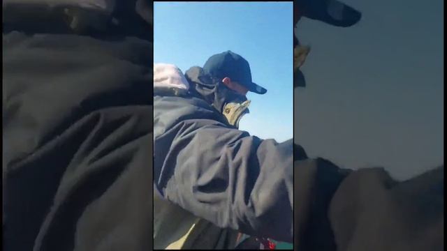 Ловля кеты на воблер 80 мм (13 гр) от Mr. Musurok