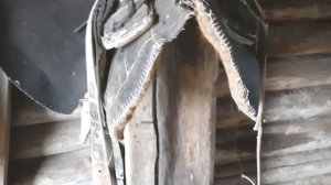 Как без травм объезжать молодую лошадь.