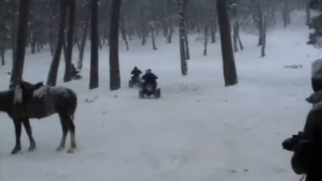 bakuriani (georgia-tbilisi) смотреть онлайн