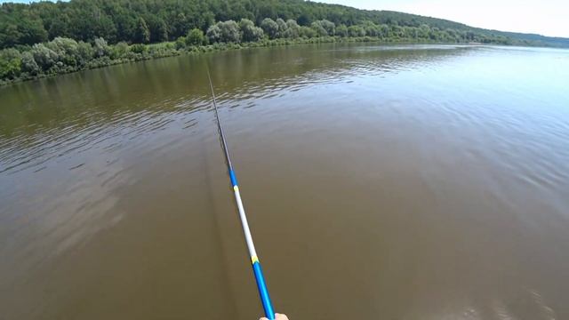 Рыбалка на Оке в проводку на МАХовую удочку на КУКУРУЗУ! смотреть онлайн