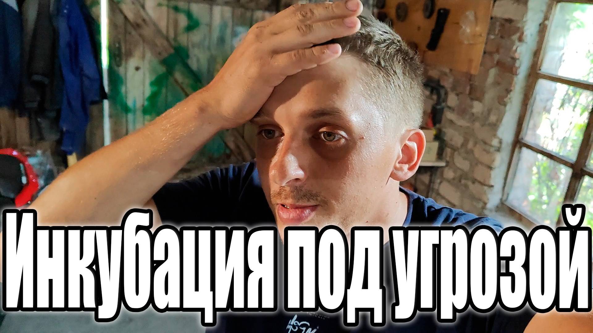 Инкубация перепела под угрозой / Купил генератор смотреть онлайн