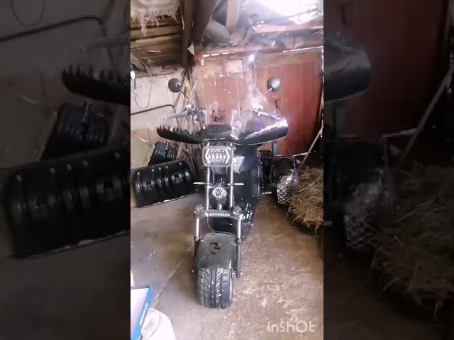 Отзыв покупателя Электроскутер SKYBOARD CITYCOCO MyRussia BR60 3000W смотреть онлайн