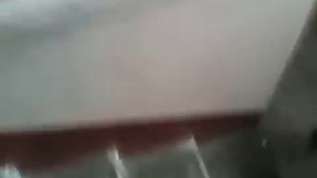 Собака ходит задом смотреть онлайн