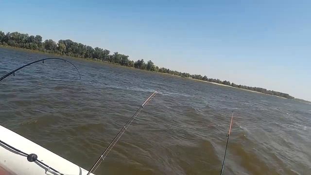 Рыбалка по-пëрла! Ловим по-тихоньку! Астраханская область, село Болхуны. Осень 2020! смотреть онлайн