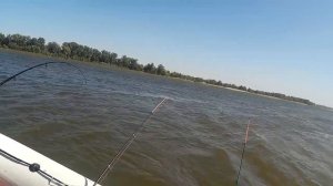 Рыбалка по-пëрла! Ловим по-тихоньку! Астраханская область, село Болхуны. Осень 2020!