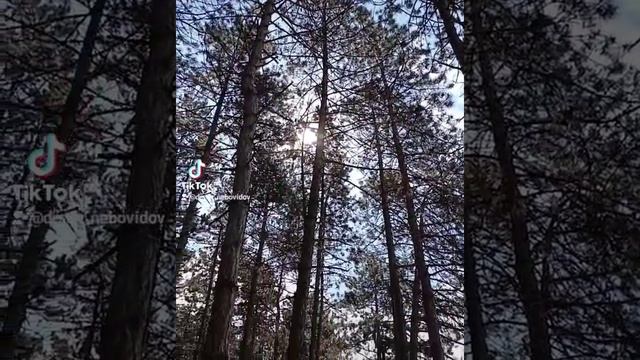 Смотри какая красота.mp4 смотреть онлайн