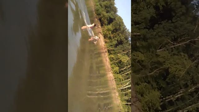 Купаемся кубань смотреть онлайн