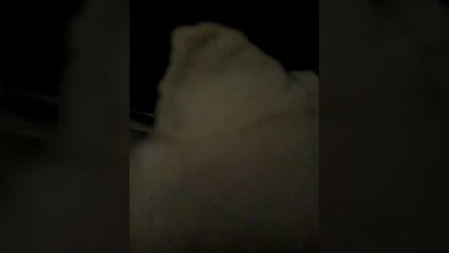 Кот из фетра смотреть онлайн