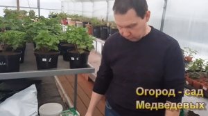 Первое впечатление от знакомства с грунтом «Агробалт»