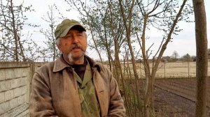 Обработки фундука: сроки, препараты, дозы