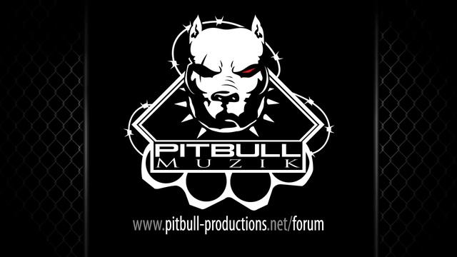 Spike PITBULL Muzik - RBA Runden смотреть онлайн