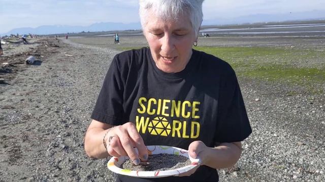 What Is Sand?! смотреть онлайн