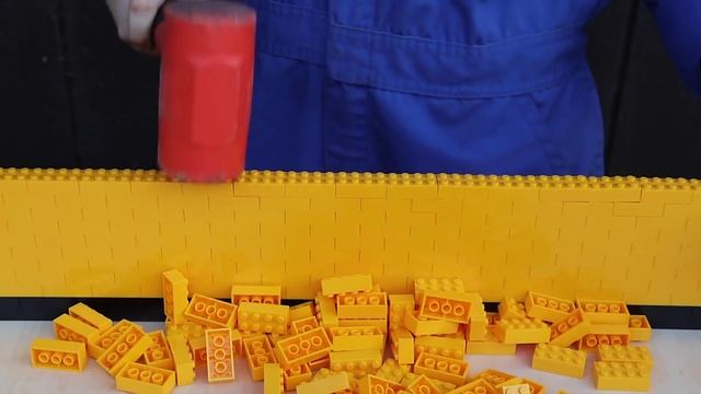 I built a dog selfie booth using LEGO bricks смотреть онлайн