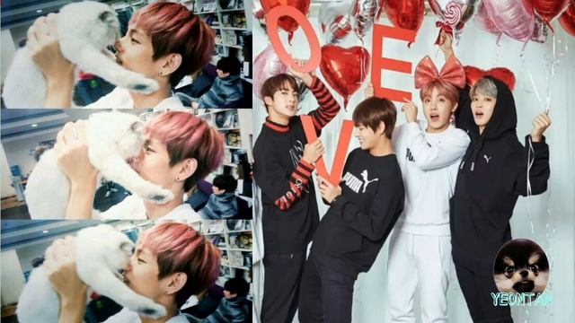 Все питомцы BTS!!! Ёнтан не один?? смотреть онлайн