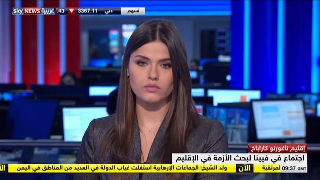 Karen Mirzoyan interview to Sky News Arabia смотреть онлайн
