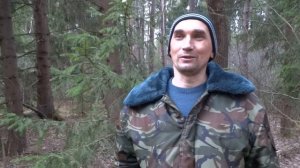 МОЖНО ЛИ ЗАРАБОТАТЬ НА ПЧЁЛАХ???