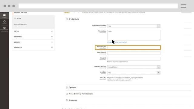 Integrating Amazon Pay with Magento 2 смотреть онлайн