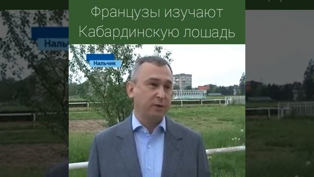 Французы изучают Кабардинскую породу лошадей. Адыгэш. смотреть онлайн