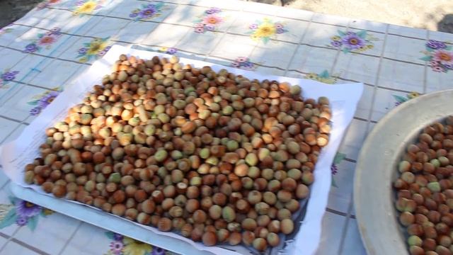 Кое что про фундук смотреть онлайн