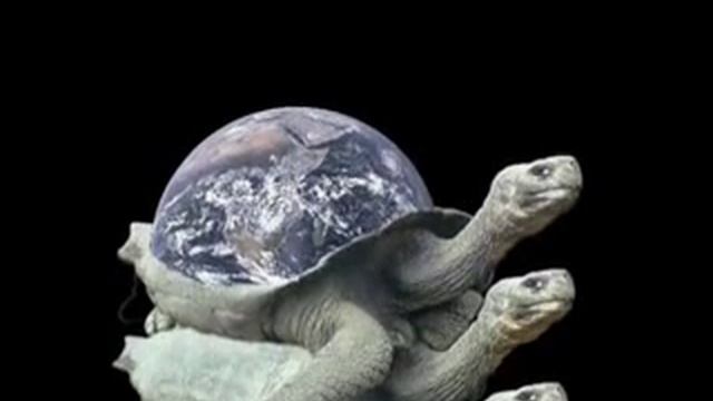 It's turtles all the way down смотреть онлайн