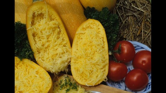 Обзор сорта кабачка "Спагетти" (характеристики, свойства, фото) смотреть онлайн