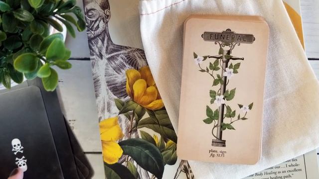Memento Mori Lenormand & Oracle Deck (flip-through & first impressions) смотреть онлайн