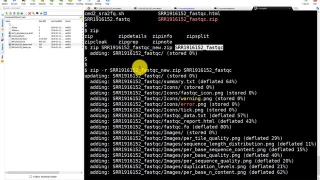 从零开始学生信之Linux, Perl and R-第二讲 смотреть онлайн