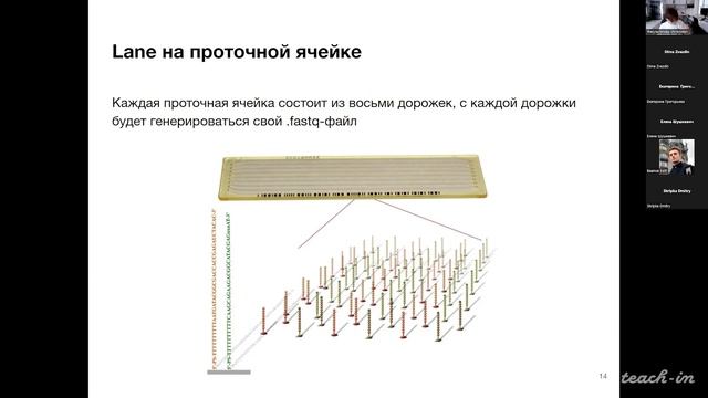 Исаев С.В. - Анализ транскриптомных данных - Лекция 1. Подготовка библиотеки смотреть онлайн