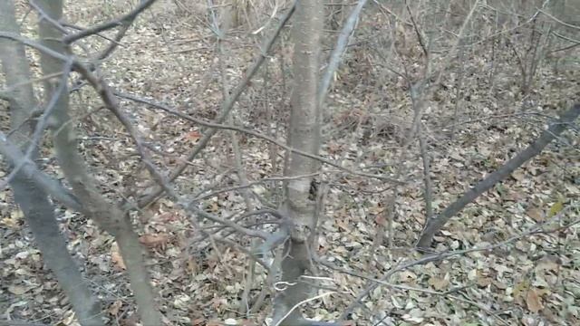 Строительные Лабиринты