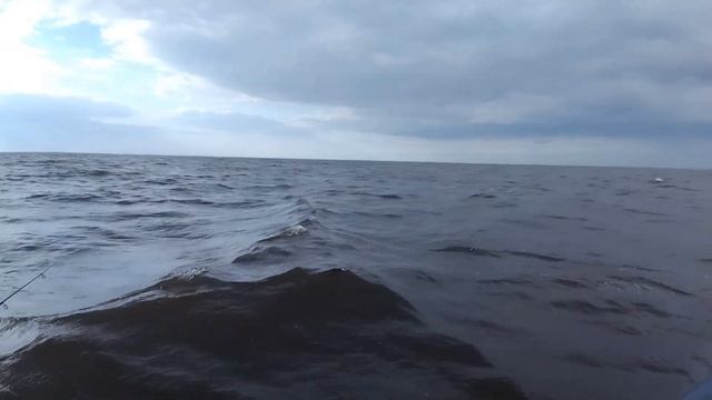 Оз. Белое Вологодская обл. август 23 смотреть онлайн