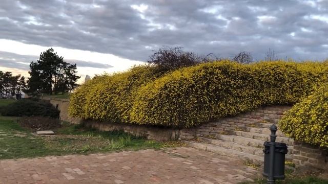 Сербия |Показываю популярное место |Нови сад |Петровардинская крепость смотреть онлайн